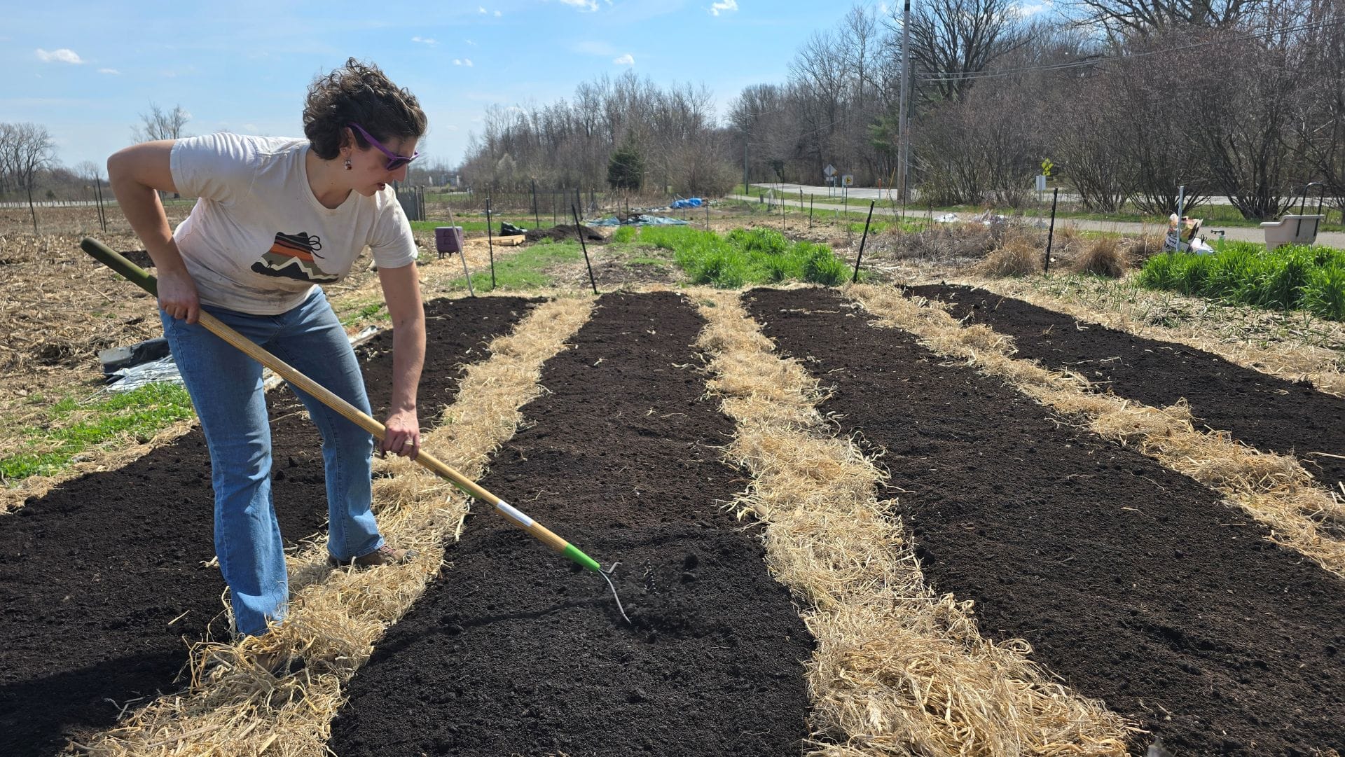 Raking mulch after cover crop
