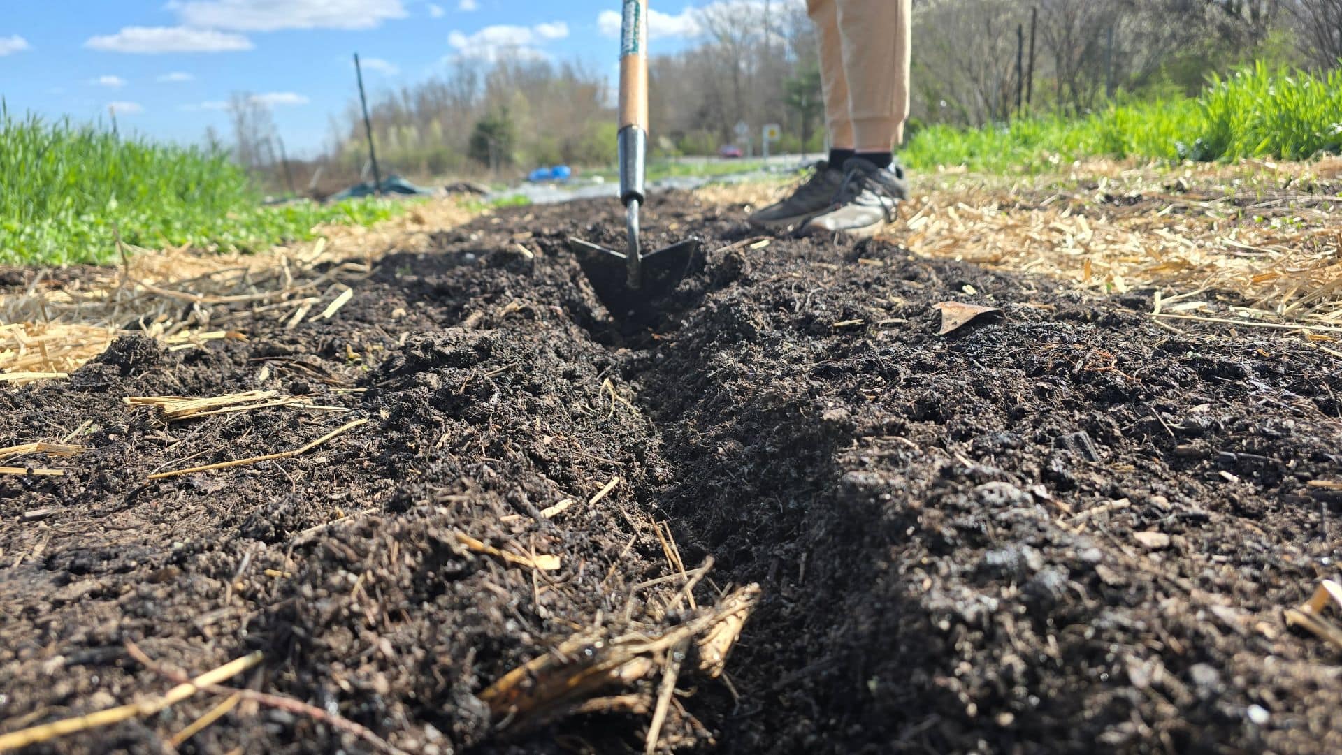 Furrow after oats