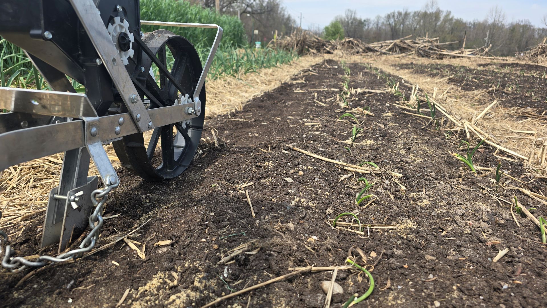 Push seeder
