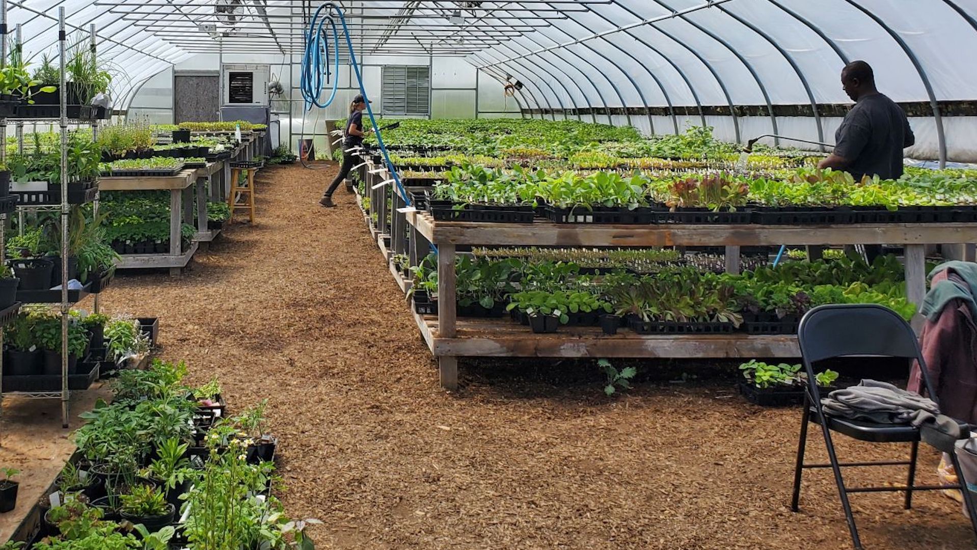 greenhouse-plant-nursery