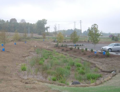 Great Benefits of Bioswales