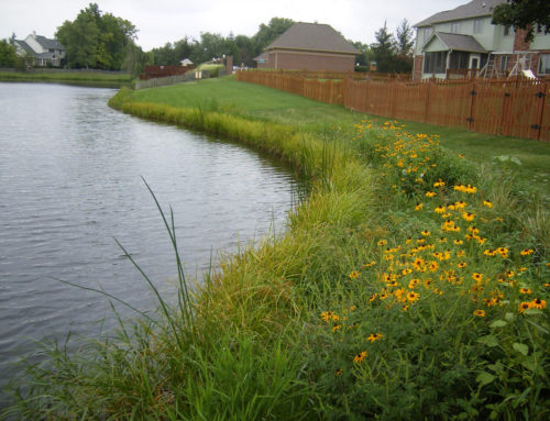 The Basics of Pond Management