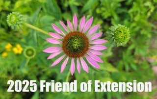 Friend of Extension