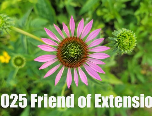 2025 Friend of Extension