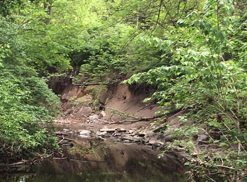 Severe stream bank erosion