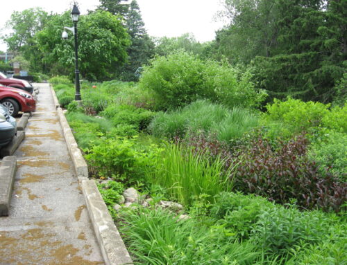 What are Stormwater Credits?