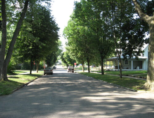 Street Trees – an overlooked stormwater management practice
