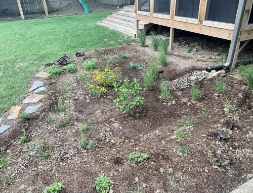 Upcoming Rain Garden Workshops