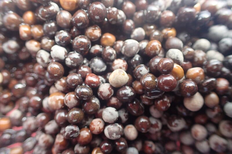 Kale and crimson clover