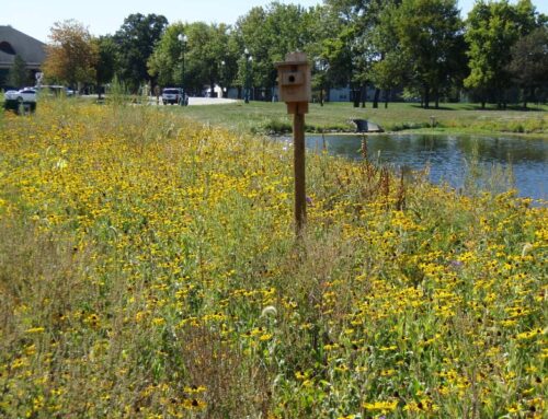 New Year’s Resolutions for Your Land