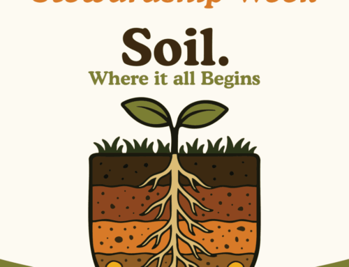 Celebrate Soil Stewardship Week!