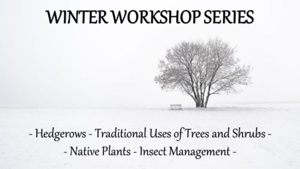 Winter Workshop Series 2021 - MCSWCD