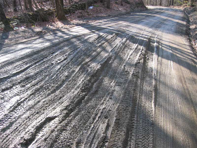 Tire tracks in muddy road